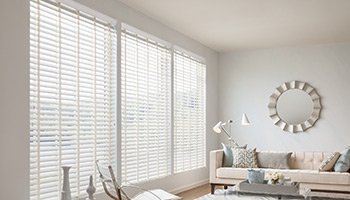 vinyl blinds tx